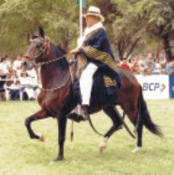 León Febres Cordero